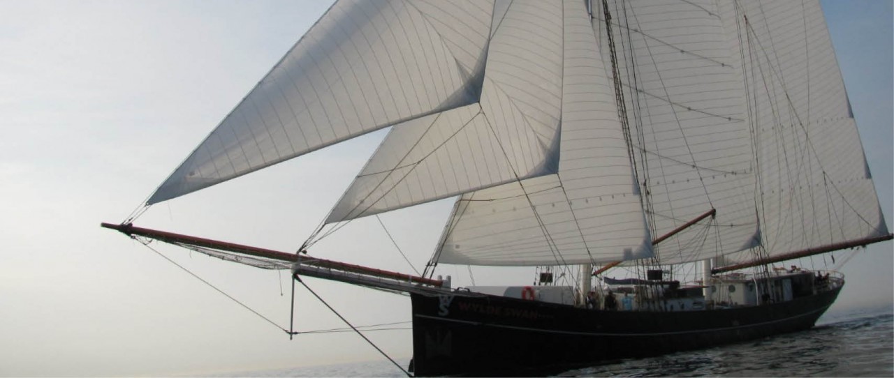 Wylde Swan Windseeker