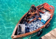 Cape Verde Islands Oosterschelde