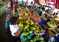 Cape Verde Islands Oosterschelde market