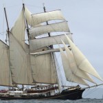 Gulden Leeuw Sailing