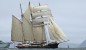 Gulden Leeuw Sailing