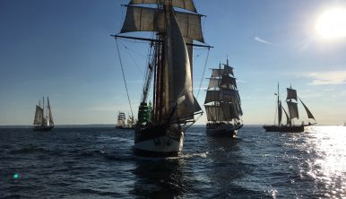 tall ship race 2020 rute