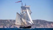 Pictured: Tall Ship Wylde Swan sailing