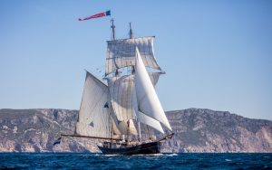 Pictured: Tall Ship Wylde Swan sailing