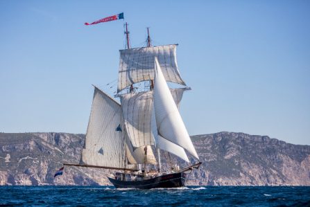 Pictured: Tall Ship Wylde Swan sailing