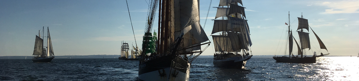 Tall Ships Races 2018, picture of Ships sailing in a Parade of Sail