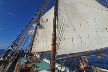 With 8.3 knots, we flew over the water